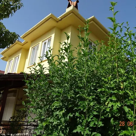 Lemon Growe 빌라